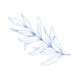 Come along and enjoy a meal or drink at Finches Cafe