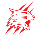 Swindon Wildcats