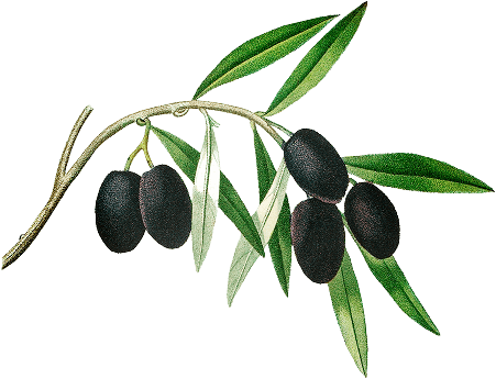 Fresh ingredients used in the pizzas at Loro di Napoli (South Ealing)