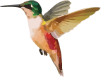 Bombay Lounge bird icon