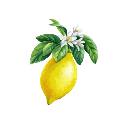 Limoncello Ristorante and Pizzeria lemon icon