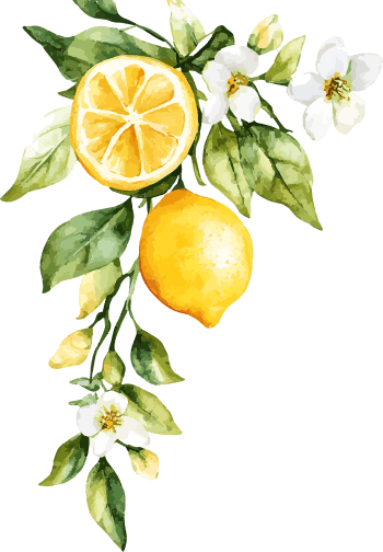 Limoncello Ristorante and Pizzeria lemon icon