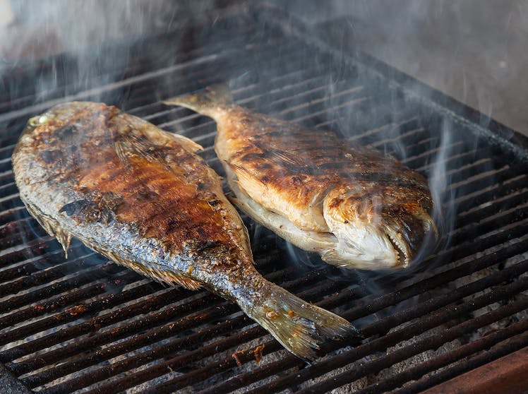 Register and become a member with Dubai Restaurant to start earning loyalty points now!