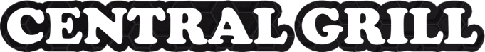 Newquay Logo