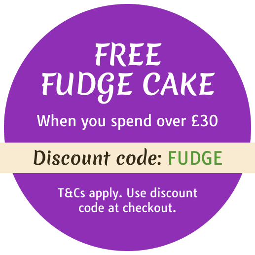 Enjoy free fudge cake at Beijing Noodles (Greenford) with our discount code