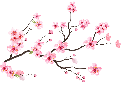 Kenzo 72 (Swindon) flower icon Kenzo 72 (Swindon) flower icon