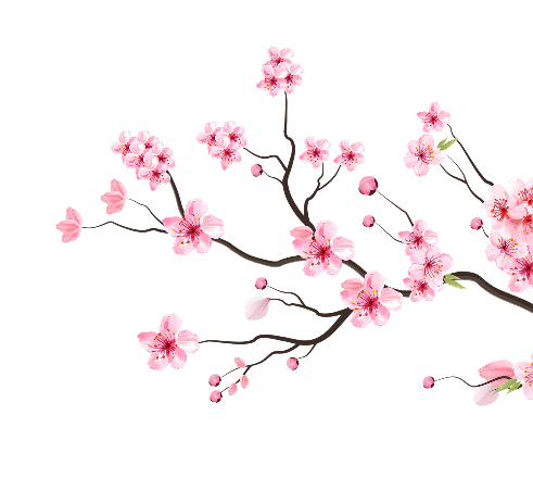 Kenzo 72 (Swindon) flower icon Kenzo 72 (Swindon) flower icon