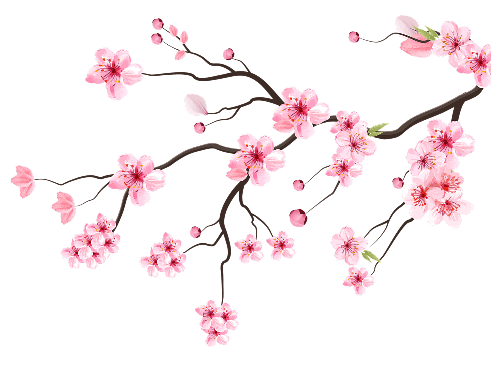 Kenzo 72 (Swindon) flower icon Kenzo 72 (Swindon) flower icon